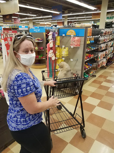 Shopping Mall «Fox Run Mall», reviews and photos, 25-55 Welles St, Glastonbury, CT 06033, USA