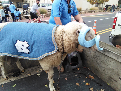 Stadium «Kenan Memorial Stadium», reviews and photos, Stadium Dr, Chapel Hill, NC 27514, USA