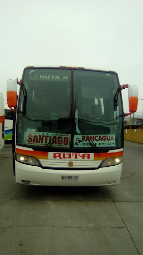 Terminal BUSES - San Vicente