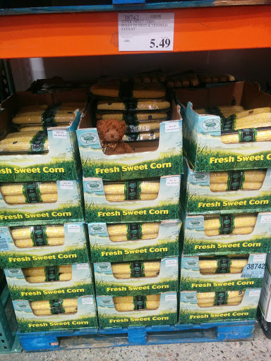 Warehouse store «Costco Wholesale», reviews and photos, 218 Lower Mountain View Dr, Colchester, VT 05446, USA