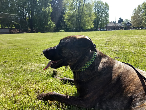 Park «Cowen Park», reviews and photos, 5849 15th Ave NE, Seattle, WA 98105, USA