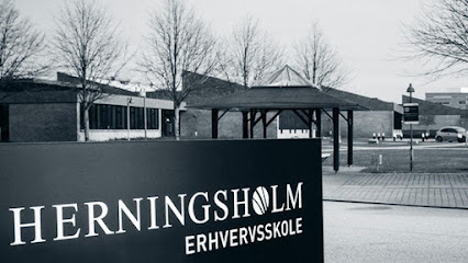 Herningsholm Erhvervsskole