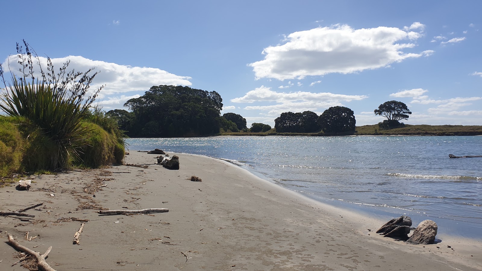 Photo of Waiotahe Beach with partly clean level of cleanliness