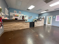 Rover Sleep Over - Photo 4 - Car repair in Dallas, TX, Irving