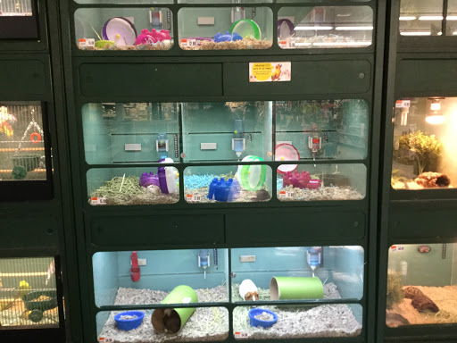 Pet Supply Store «Pet Supplies Plus», reviews and photos, 220 Market Dr, Elyria, OH 44035, USA