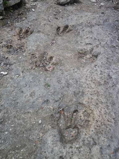 Park «Government Canyon State Natural Area», reviews and photos, 12861 Galm Rd, San Antonio, TX 78254, USA