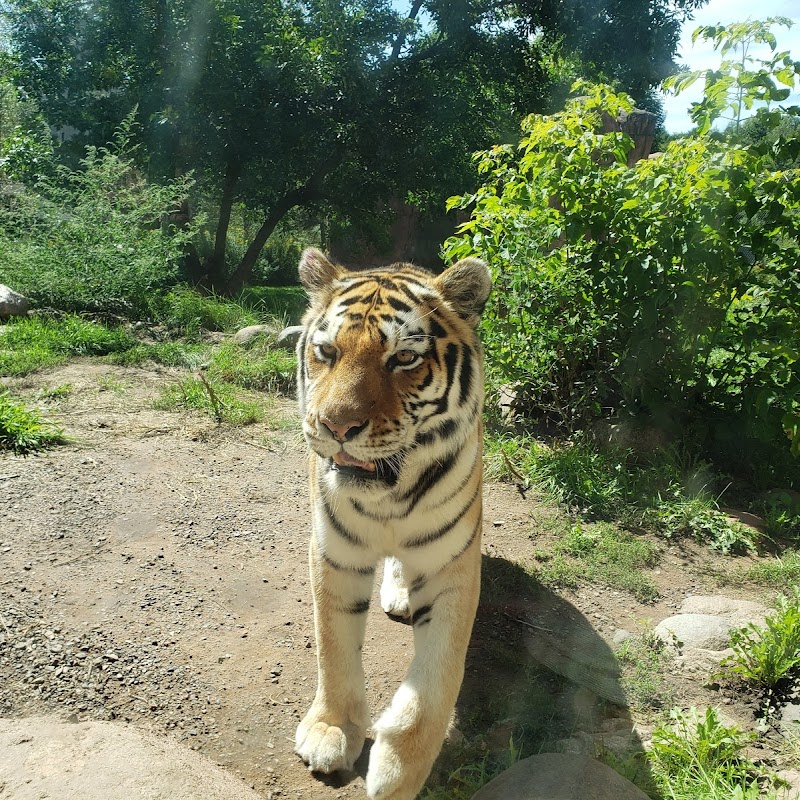 Lake Superior Zoo