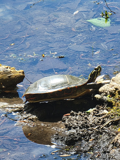 Nature Preserve «For-Mar Nature Preserve & Arboretum», reviews and photos, 2142 N Genesee Rd, Burton, MI 48509, USA