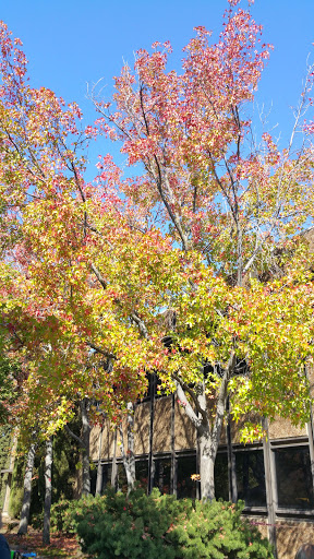 Sierra College image