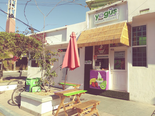 Yogusland Frozen Yogurth