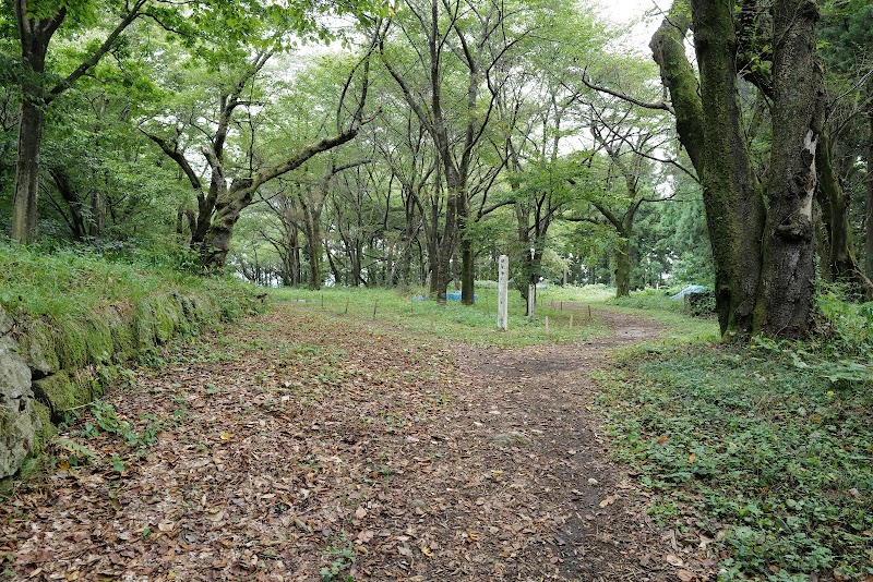 村上城 調練場跡