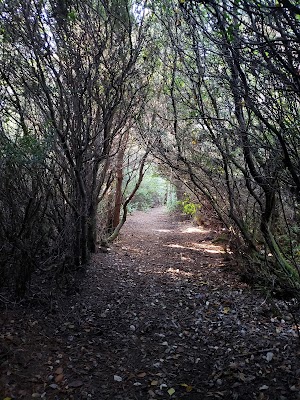 John Dellenback Dunes Trailhead - photo 9