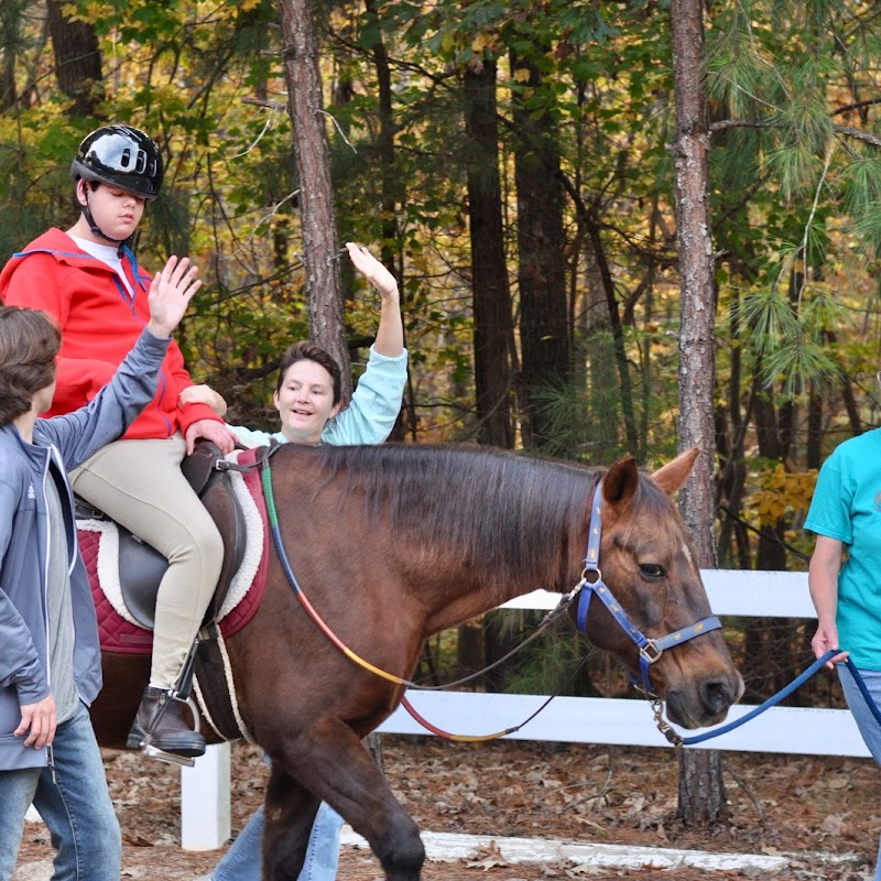 Helping Horse Therapeutic Riding