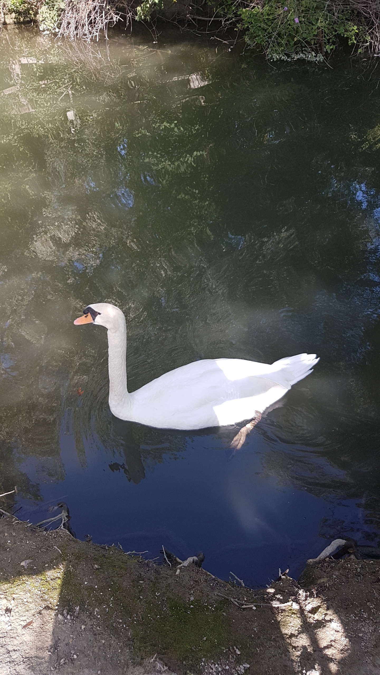 Photo n° 2 de l'avis de Aurore.e fait le 18/09/2019 à 13:55