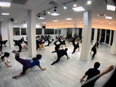 尼亞斯舞蹈表演藝術學院 Nias Dance Studio