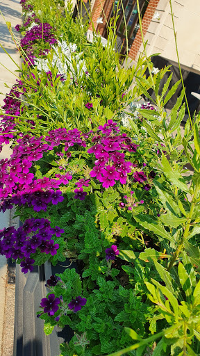 Computer Store «Apple Boylston Street», reviews and photos, 815 Boylston St, Boston, MA 02116, USA