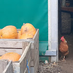 Photo n°14 de l'avis de Jens.h fait le 03/10/2022 à 15:46 sur le  Altes Zollhaus à Hünfelden