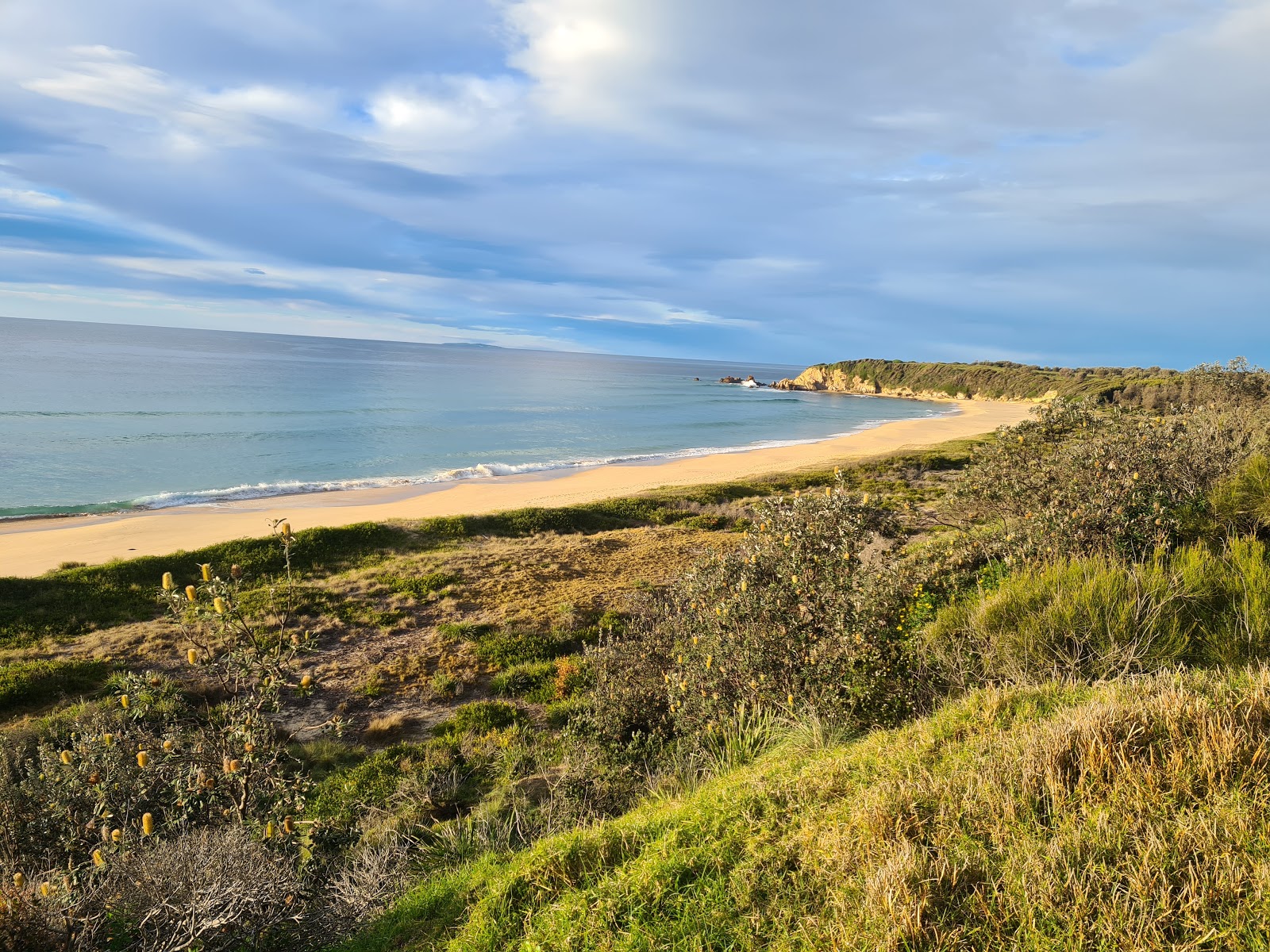 Photo de Jemisons Beach zone sauvage