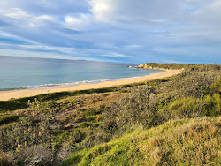 Photo de Jemisons Beach zone sauvage