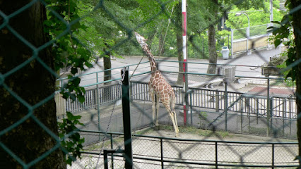 福岡市動物園 キリン舍