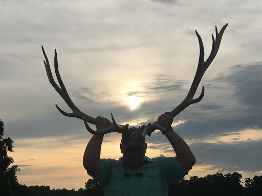 Nature Preserve «Elk and Bison Prairie», reviews and photos, Elk & Bison Prairie Rd, Golden Pond, KY 42211, USA