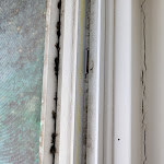 Photo n°1 de l'avis de Anke.. fait le 22/02/2024 à 10:43 sur le  Schloss Basthorst à Crivitz