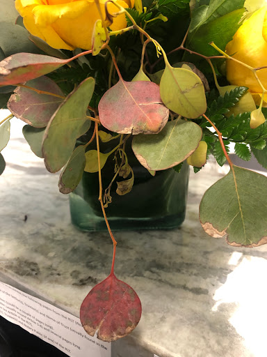 Florist «A-Apple Blossom Florist», reviews and photos, 566 S Decatur Blvd, Las Vegas, NV 89107, USA