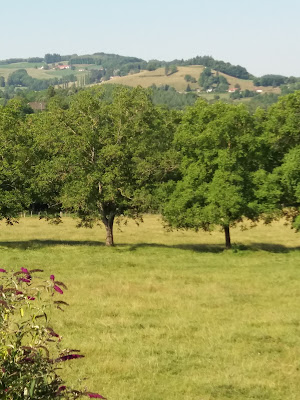 L'humosphère à Velanne