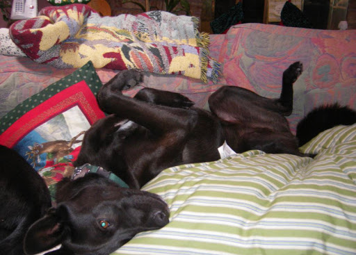 Craft Store «Hobby Lobby», reviews and photos, 2004 S Goliad St, Rockwall, TX 75087, USA