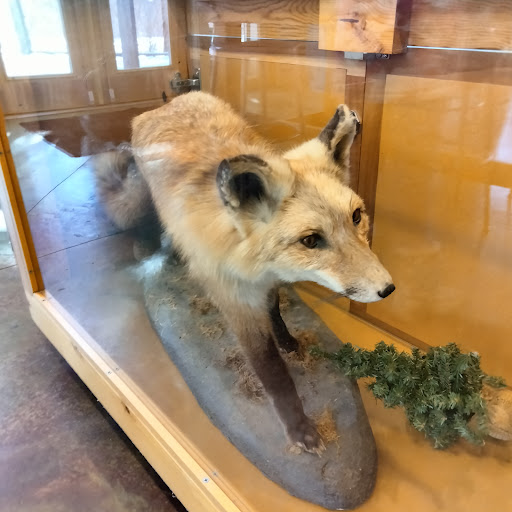 Nature Preserve «Goodenow Grove Nature Preserve», reviews and photos, 27064 Dutton Rd, Beecher, IL 60401, USA