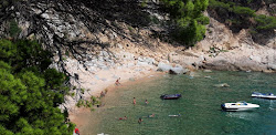 Zdjęcie Platja de la Corcollada dziki obszar