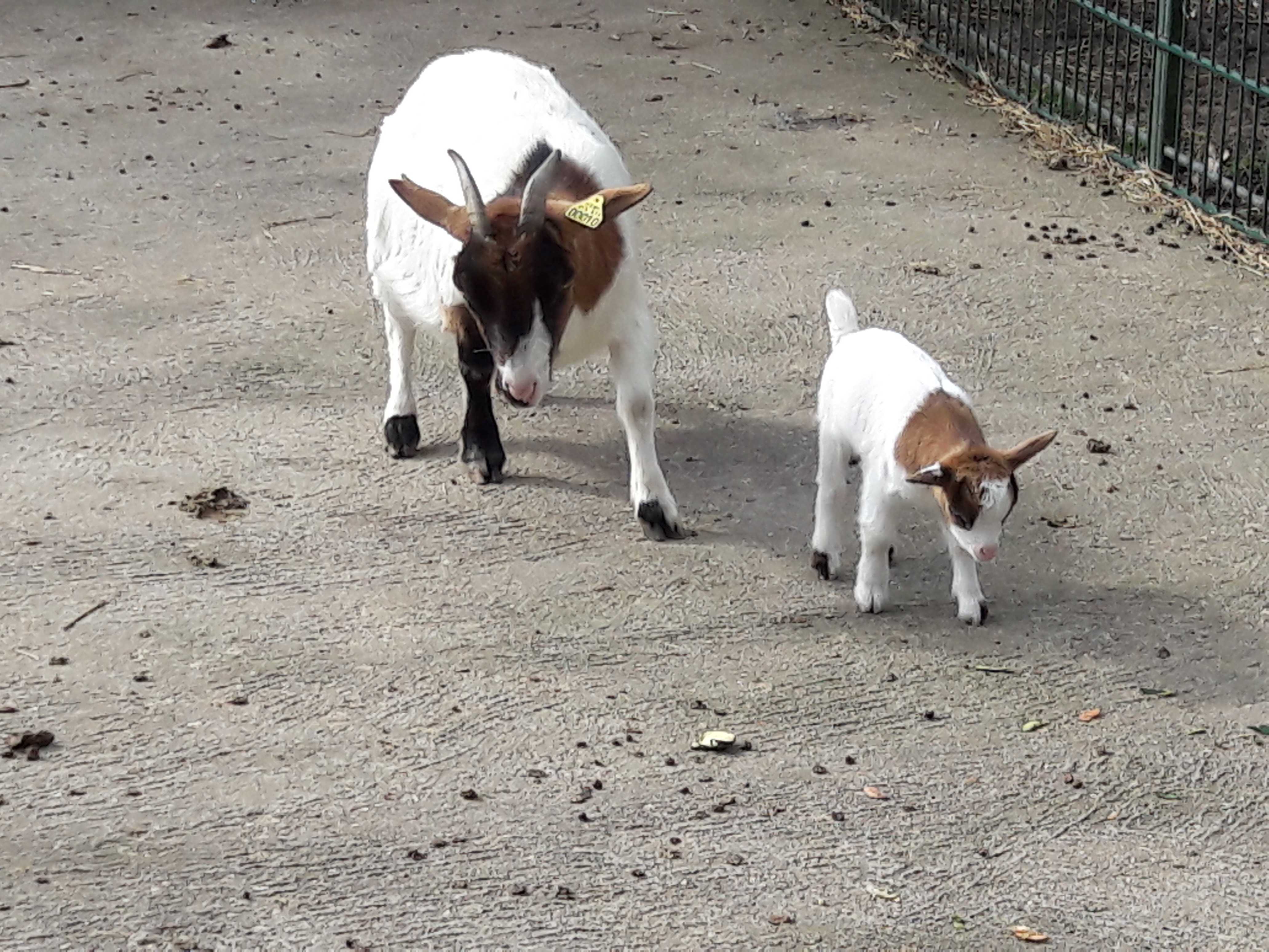 Photo n° 19 de l'avis de BMB.O fait le 14/09/2017 à 07:10