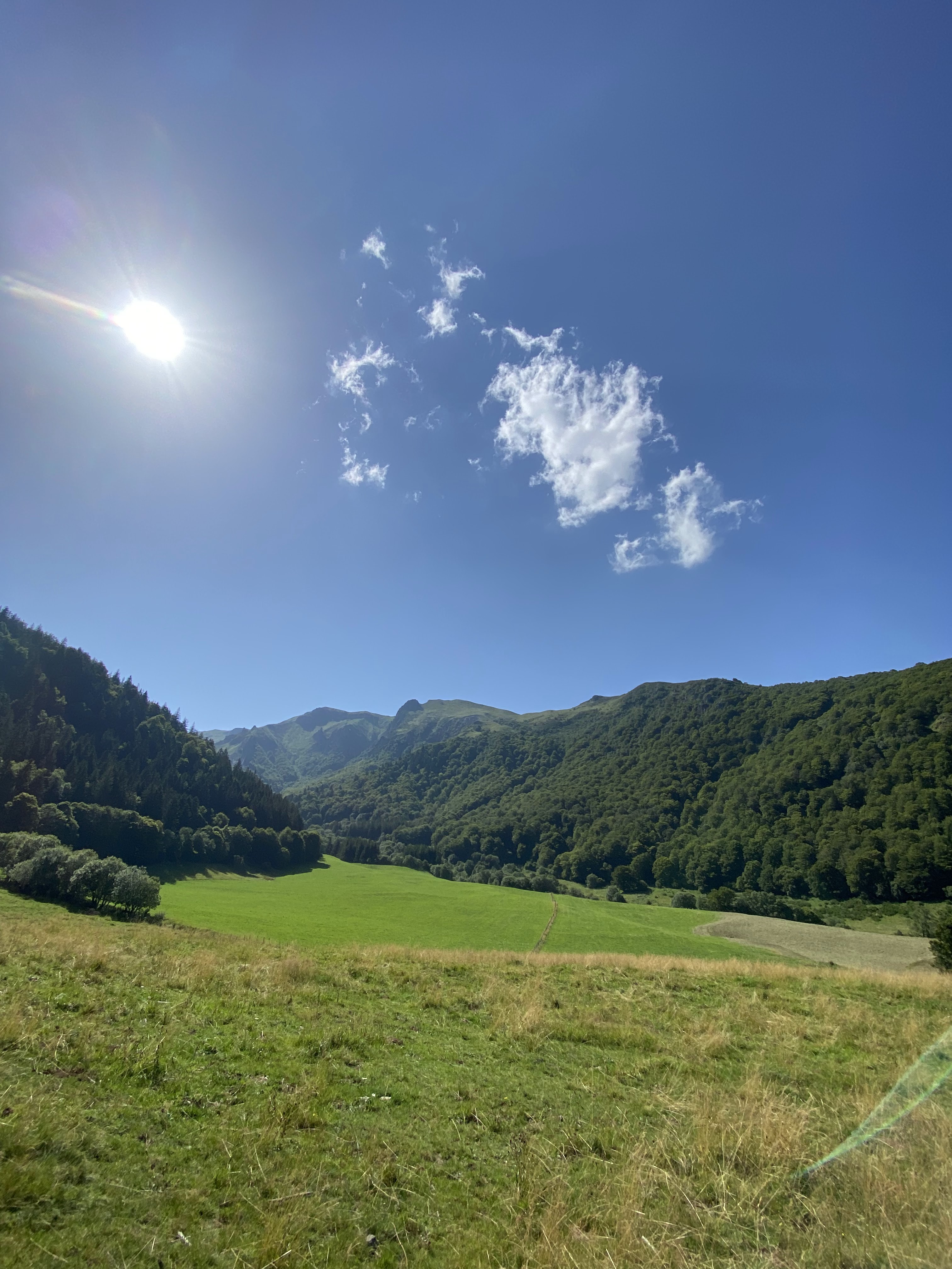 Photo n° 4 de l'avis de Michel.o fait le 17/08/2021 à 16:52