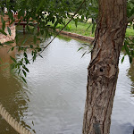 Photo n°5 de l'avis de Doris.c fait le 13/07/2020 à 08:23 sur le  Landrestaurant Burrweiler Mühle à Burrweiler