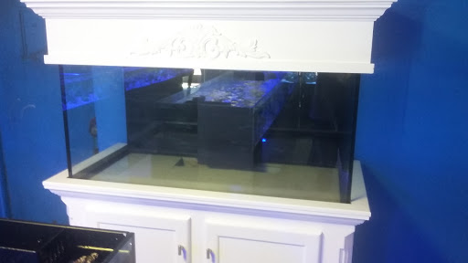 Tropical Fish Store «Saltwater Paradise», reviews and photos, 1313 W Airport Fwy, Irving, TX 75062, USA