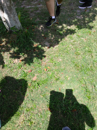 Zoo «Petting zoo Ocala», reviews and photos, 11150 FL-40, Ocala, FL 34482, USA