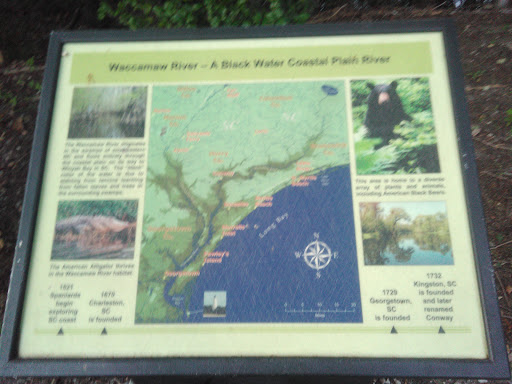 Seafood Market «Ocean Fish Market», reviews and photos, 302 Kingston St, Conway, SC 29526, USA