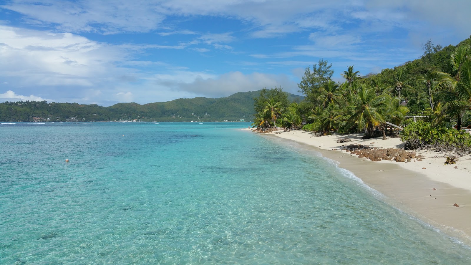 Foto di Anse La Farine Beach con una costa spaziosa