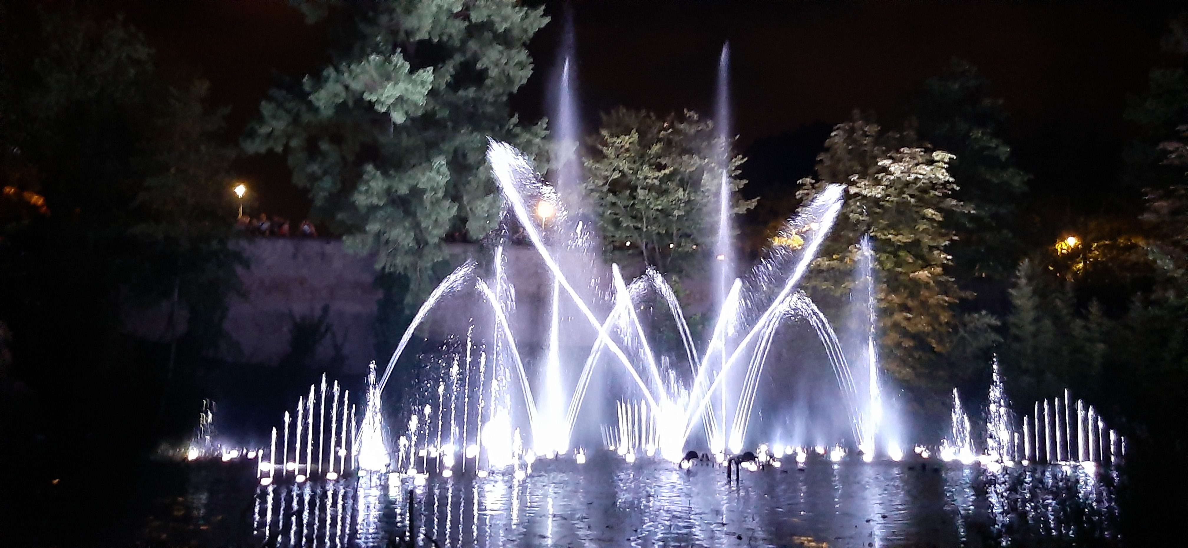 Photo n° 1 de l'avis de yves.a fait le 03/08/2019 à 22:09