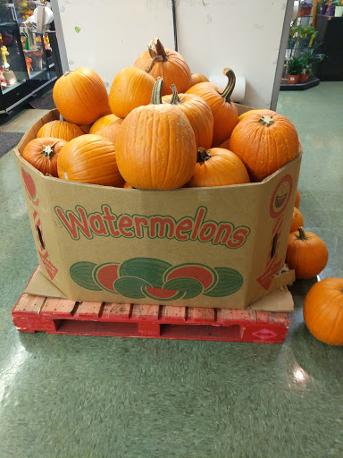 Shopping Mall «Mid City Mall», reviews and photos, 1250 Bardstown Rd #5, Louisville, KY 40204, USA