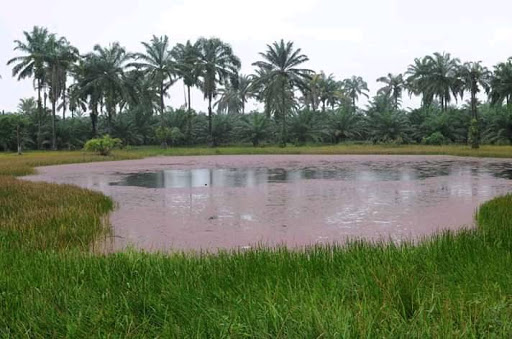 Stadium «NRG Stadium», reviews and photos, NRG Pkwy, Houston, TX 77054, USA