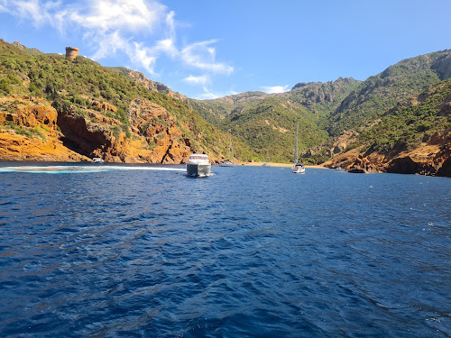 Agence d'excursions en bateau Colombo Line Calvi