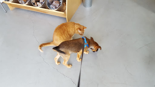 Pet Supply Store «Ash Way Pet Supply», reviews and photos, 2902 164th St SW, Lynnwood, WA 98087, USA