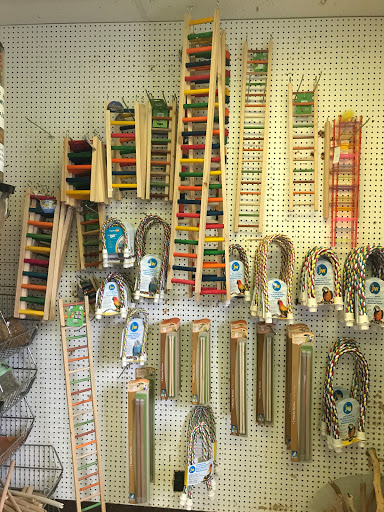 Bird Shop «Paterson Bird Store», reviews and photos, 13 Furler St # 1, Totowa, NJ 07512, USA