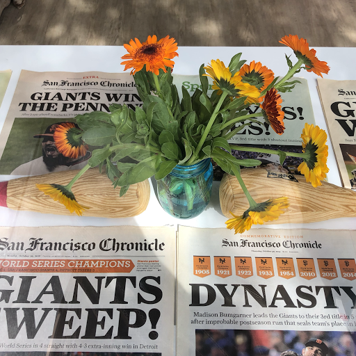 Pet Supply Store «Cole Valley Pets», reviews and photos, 910 Cole St, San Francisco, CA 94117, USA