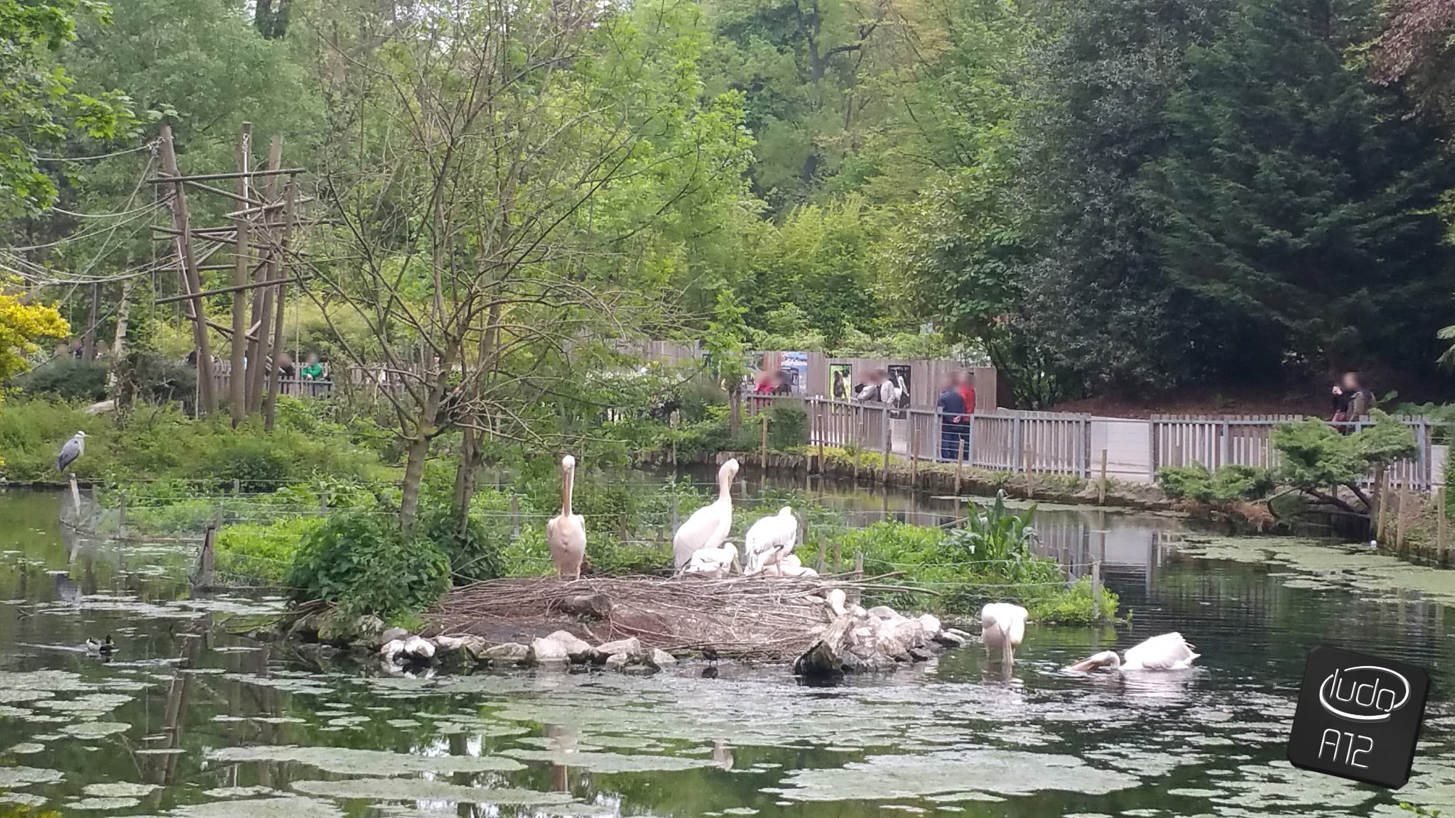 Photo n° 4 de l'avis de ludo.u fait le 16/06/2017 à 18:19