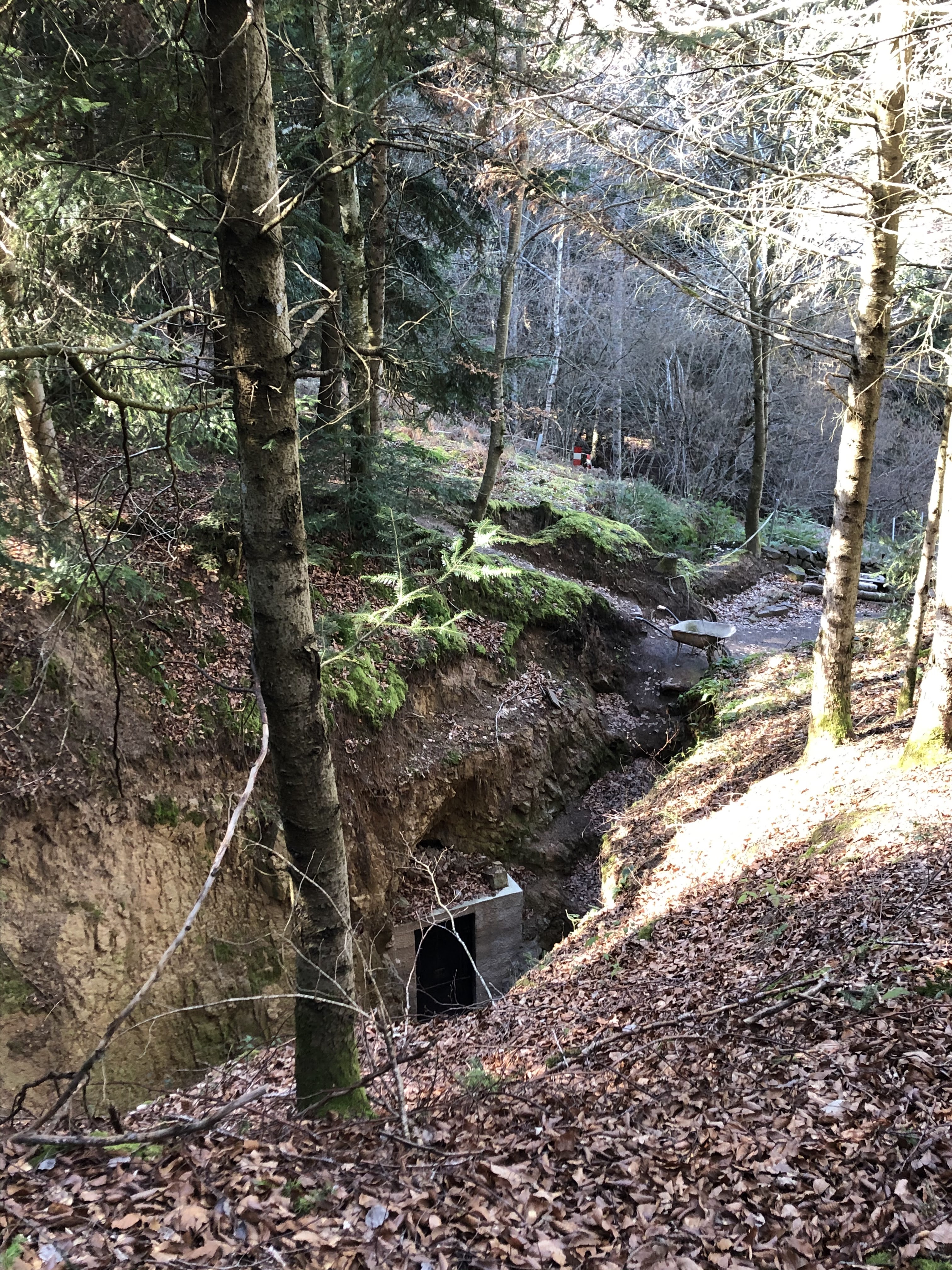 Photo n° 1 de l'avis de Roxane.a fait le 24/02/2020 à 18:22