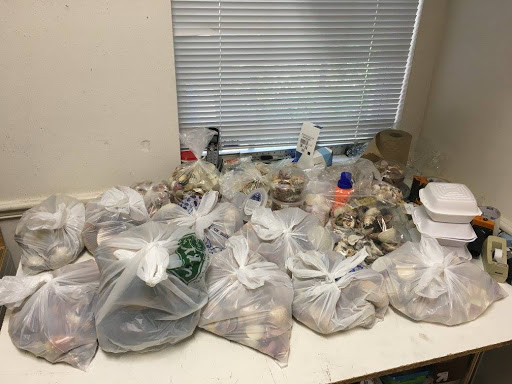 Shipping Service «Qwik Pack & Ship», reviews and photos, 1456 Periwinkle Way, Sanibel, FL 33957, USA