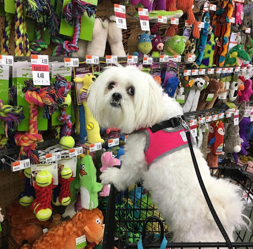 Pet Supply Store «Pet Supplies Plus», reviews and photos, 7467 St Andrews Rd, Irmo, SC 29063, USA