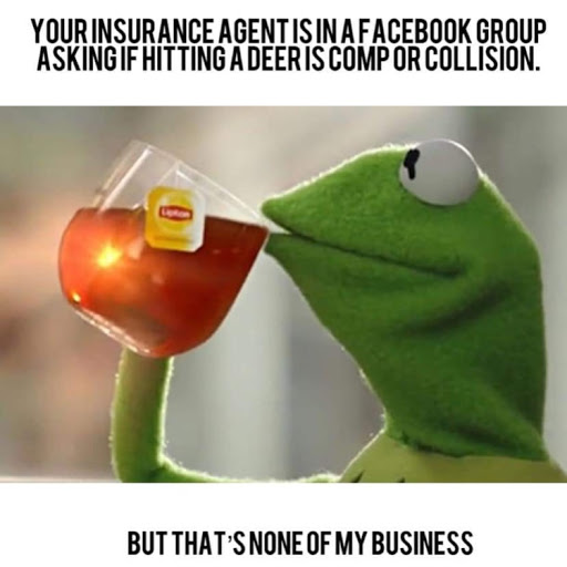 Insurance Agency «Mike Maclean - State Farm Insurance Agent», reviews and photos